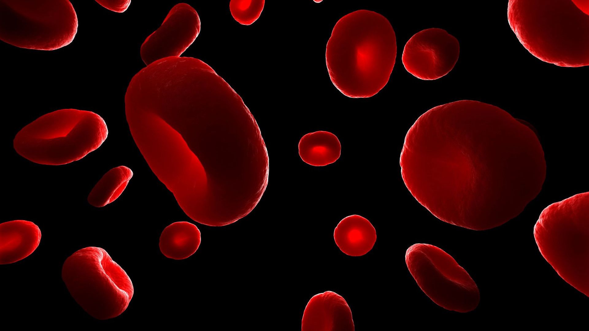 Close-up view of floating red blood cells against a black background, highlighting their distinctive disc shape and vibrant red color.