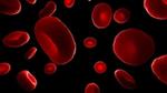 Close-up view of floating red blood cells against a black background, highlighting their distinctive disc shape and vibrant red color.