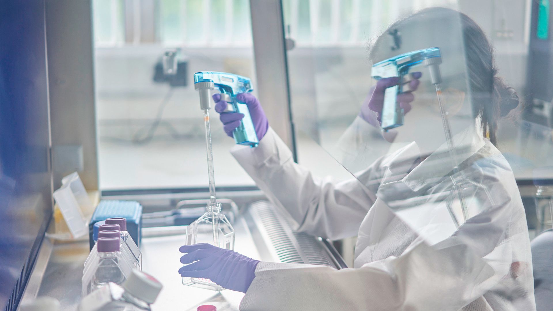 Safety Without Animal Testing