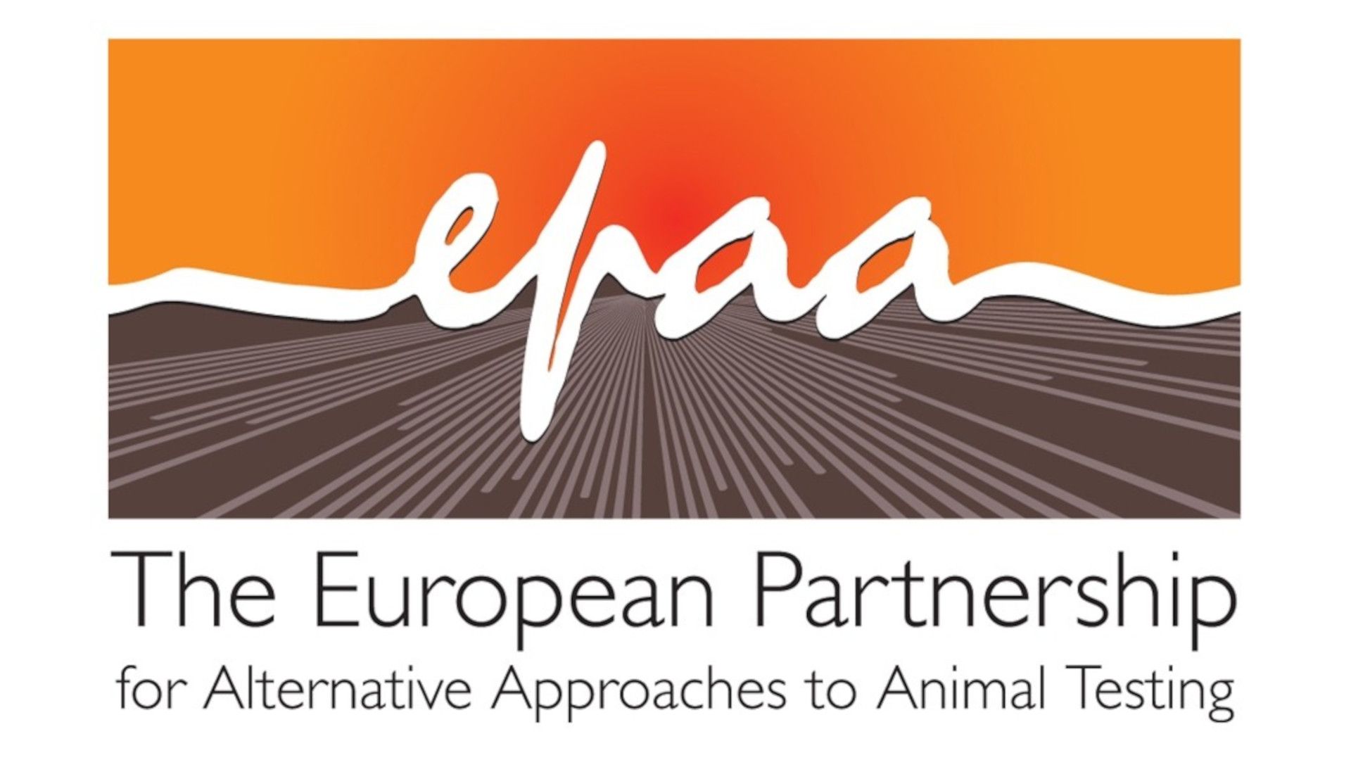 EPAA Logo