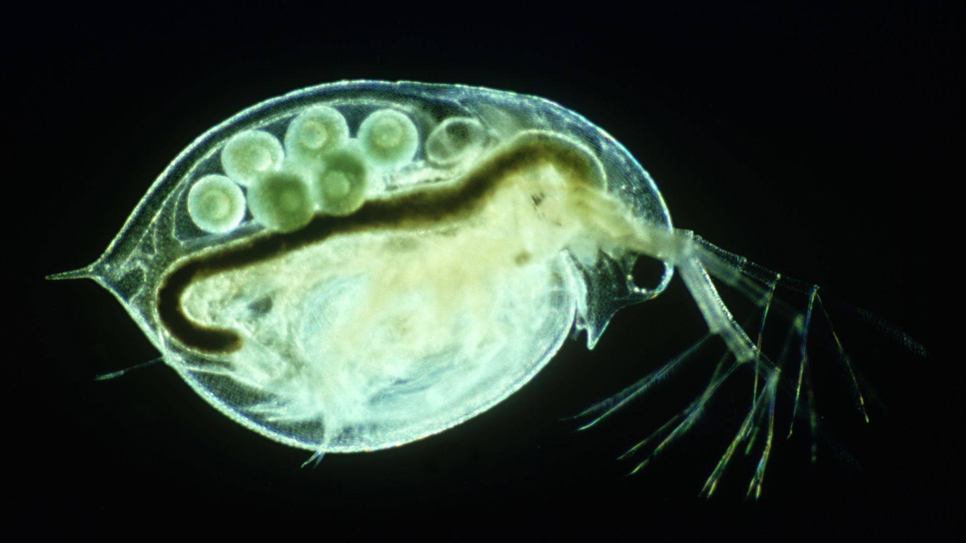 Environmental Safety Image