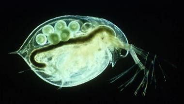 Environmental Safety Image