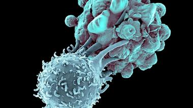 Immune Effects Safety