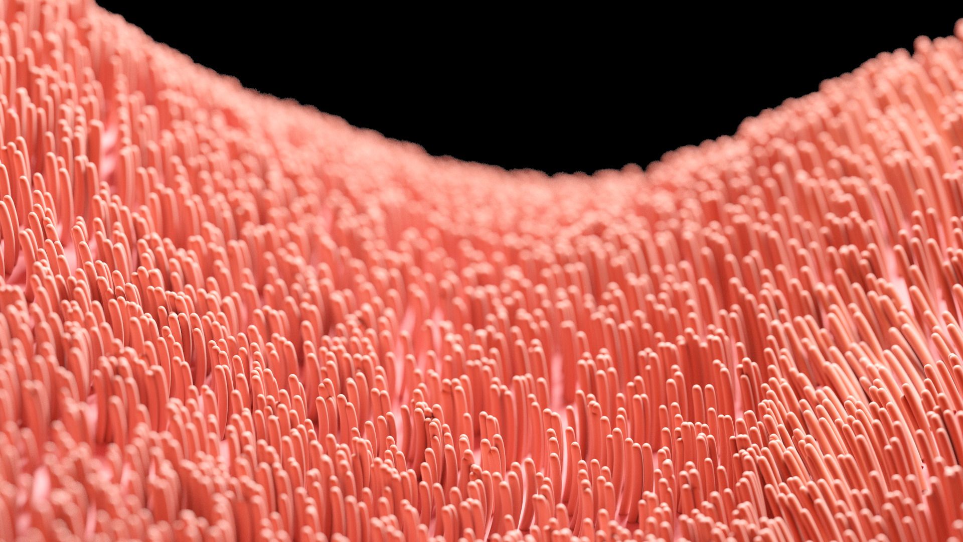 Inhalation Safety Image