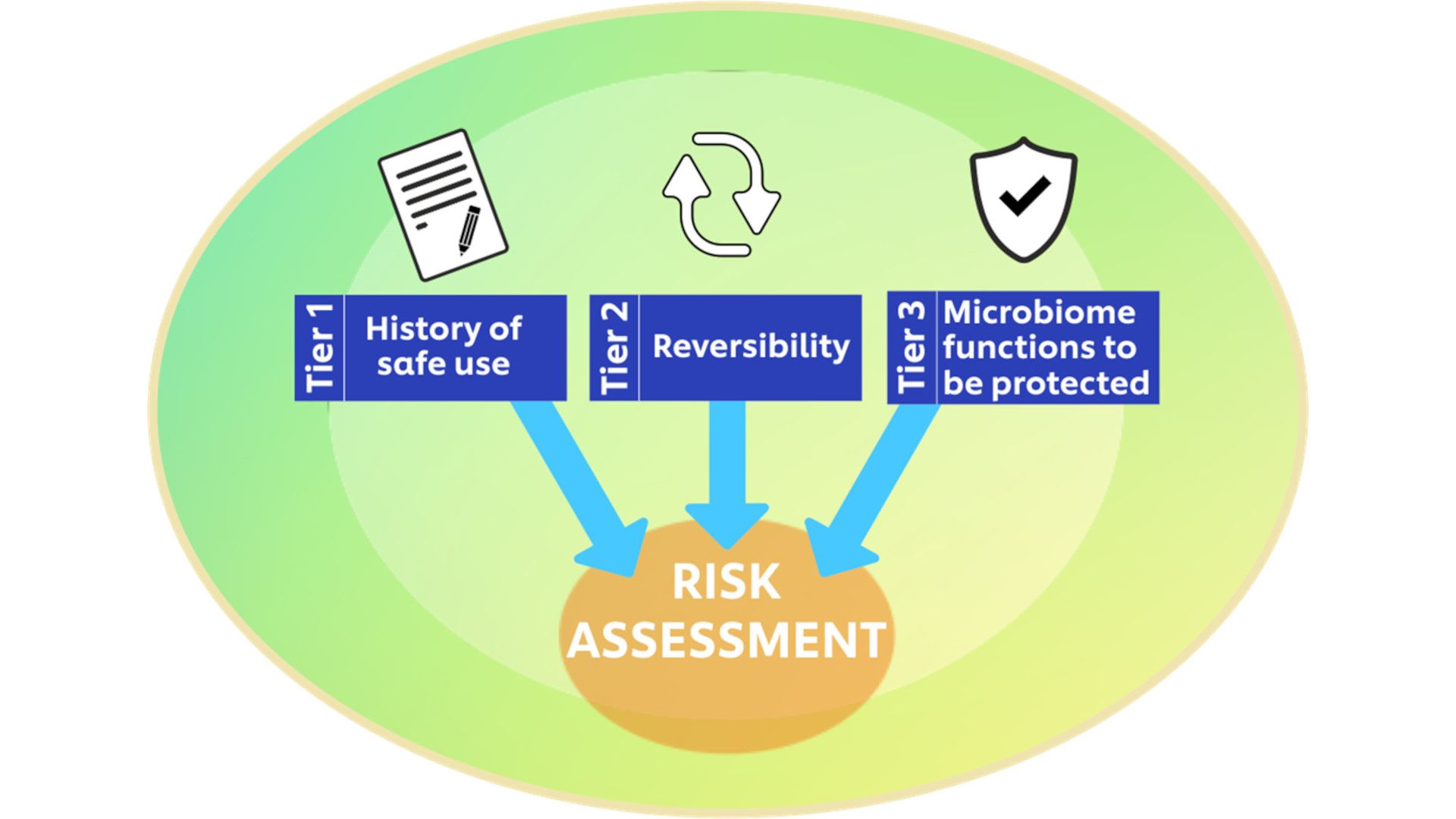 Tiered approach to assess safety of potential microbiome perturbations induced by application of beauty and personal care products